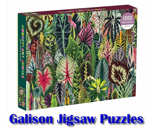 Jigsaw Puzzle - Game 5