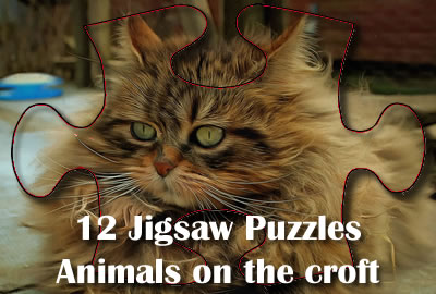Online Jigsaw Puzzles - Free Jigsaws
