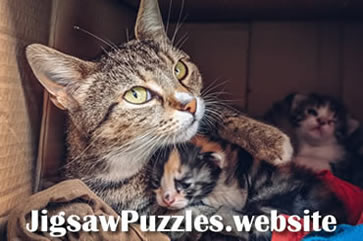 Online Jigsaw Puzzles - 12 Free Online Jigsaws Game 7