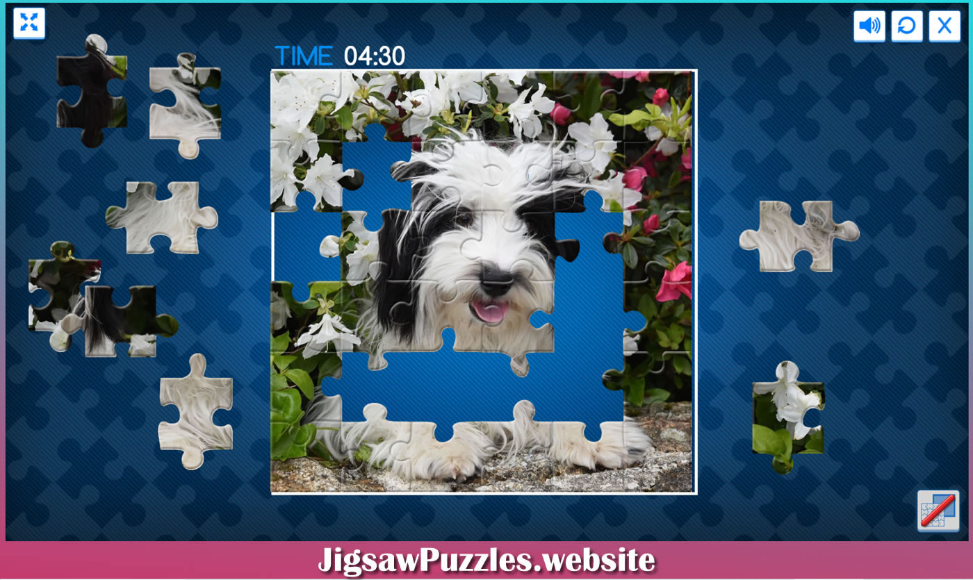 Puppy and dogs jigsaw puzzles