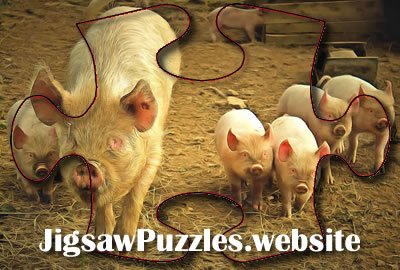 Online jigsaw puzzle - Free Range Pig with her Piglets Jigsaw