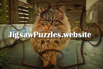 Online jigsaw puzzle - Game 4 - cat