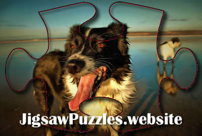 Jigsaw puzzle - Game 6 - Collie