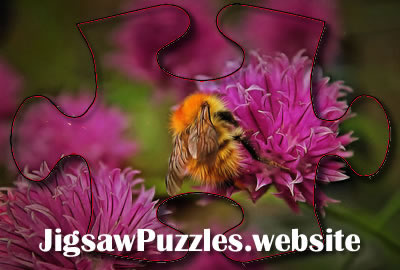 Wild bee on flower Nature Jigsaw