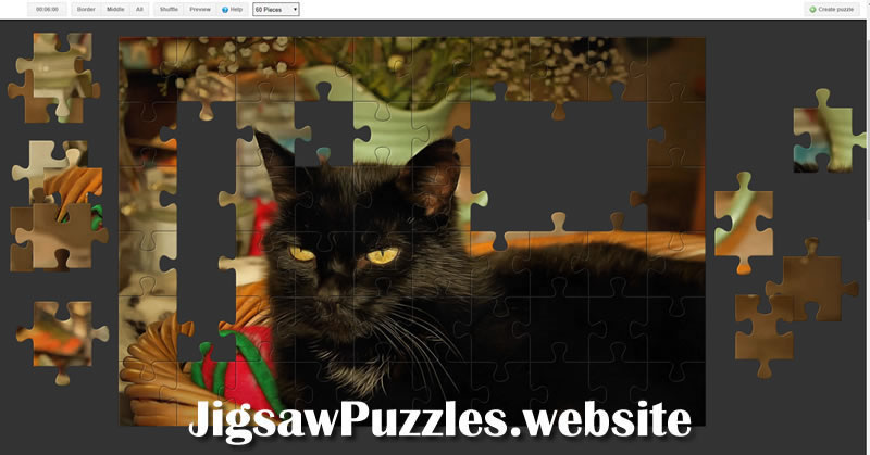 Jigsaw Puzzle 10