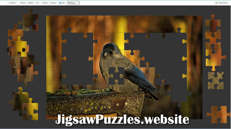 Jigsaw Puzzle 8