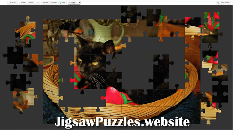 Jigsaw Puzzle 9