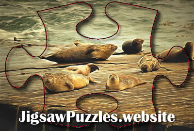 Online jigsaw puzzle - Seals on a Pier Jigsaw