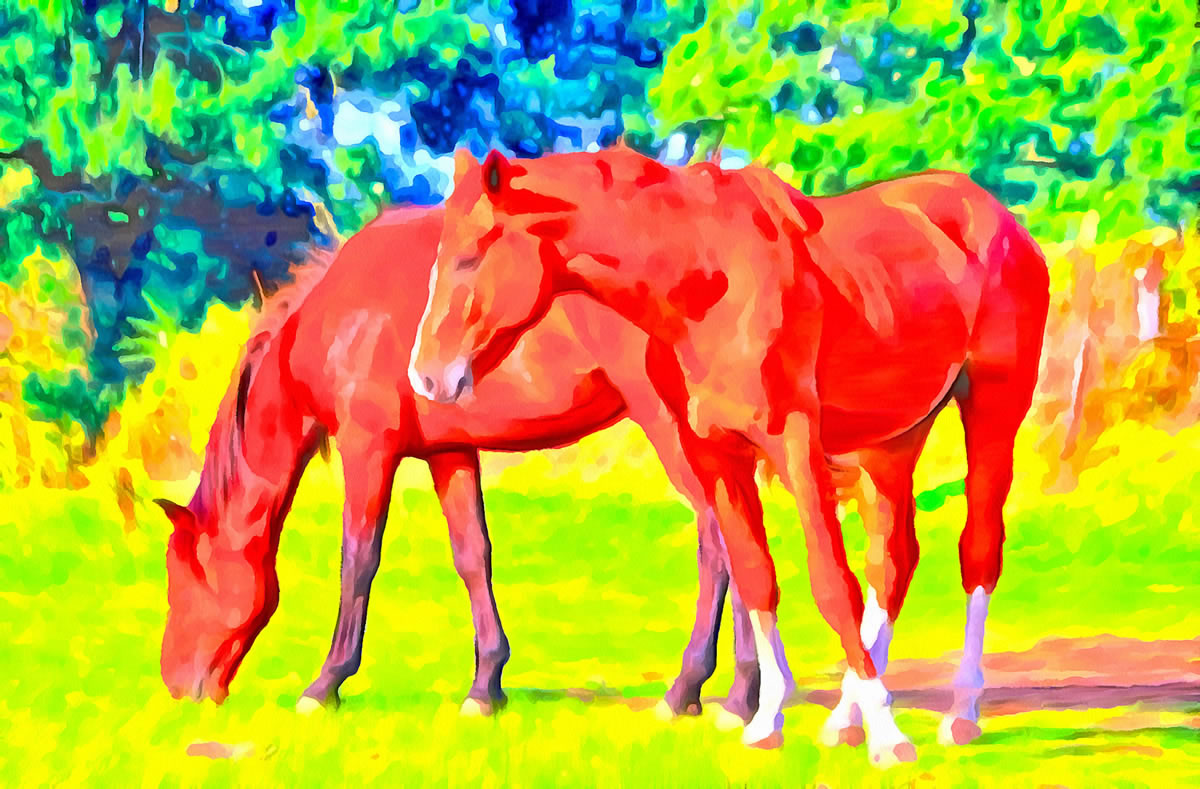 Horses - art image 2